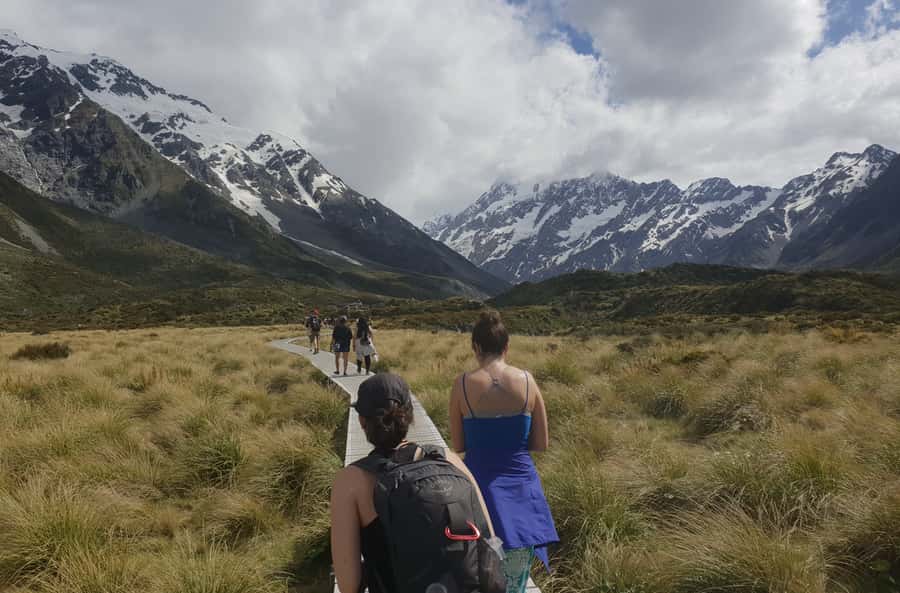 From Christchurch: Mt Cook Day Tour & Lake Tekapo - Scenic flights are a separate decision