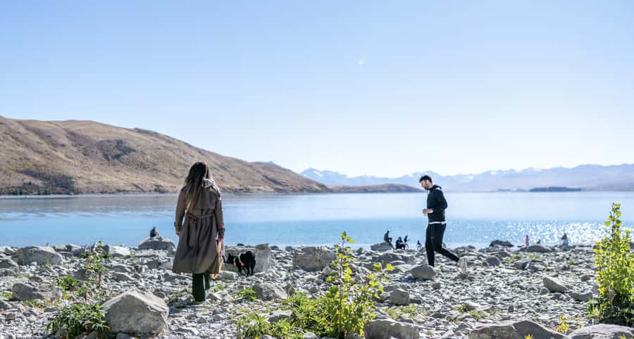 From Christchurch: Mt Cook Day Tour & Lake Tekapo - What the guides add to the experience