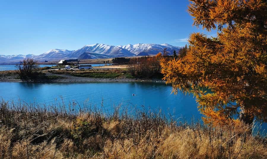 From Christchurch: Queenstown via Tekapo & Mt Cook Day Trip - What the guides add to the day