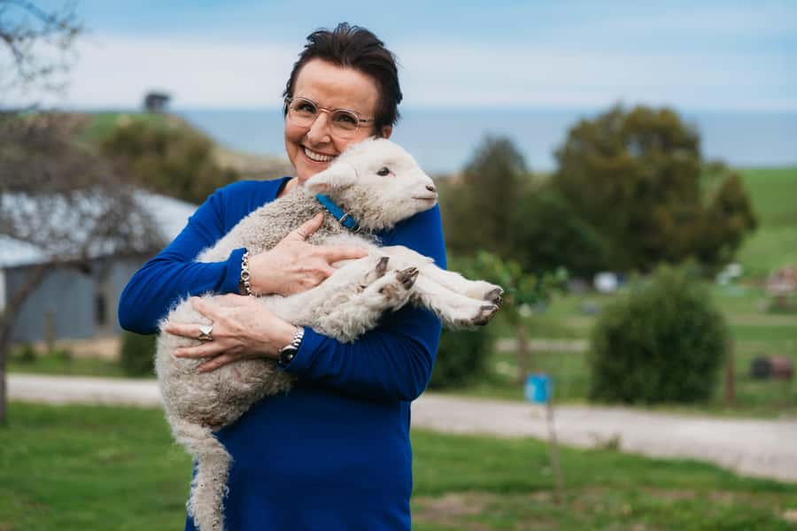 From Christchurch: Sheep Farm Day Trip with Lunch & Winery - Key points to know before you book