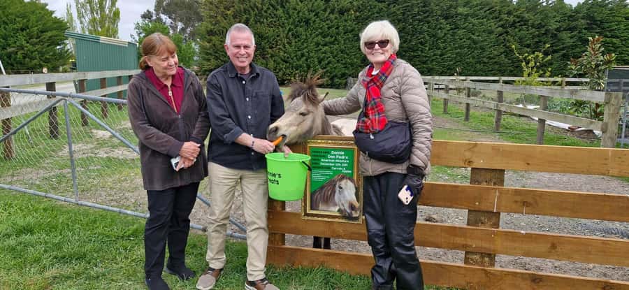 From Christchurch: Sheep Farm Day Trip with Lunch & Winery - Glenafric Farm and the working side of New Zealand