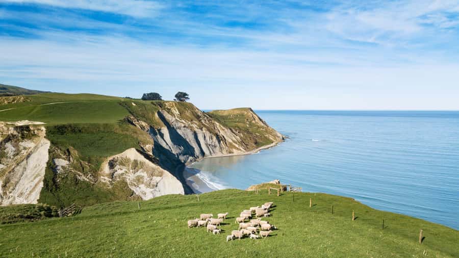 From Christchurch: Sheep Farm Day Trip with Lunch & Winery - Leaving Christchurch for Waipara Valley