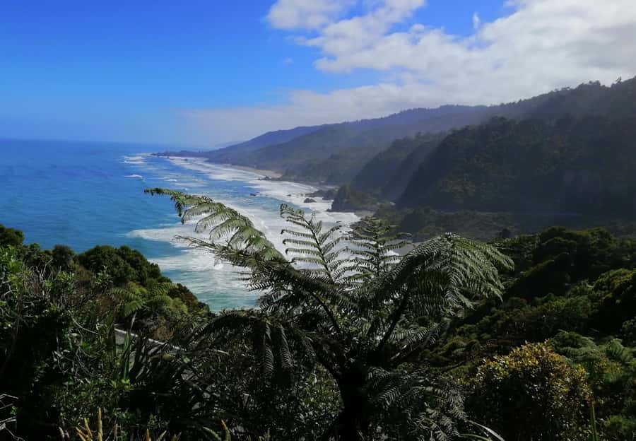 From Greymouth: Highlights West Coast Day Tour - Why this Greymouth day tour works so well