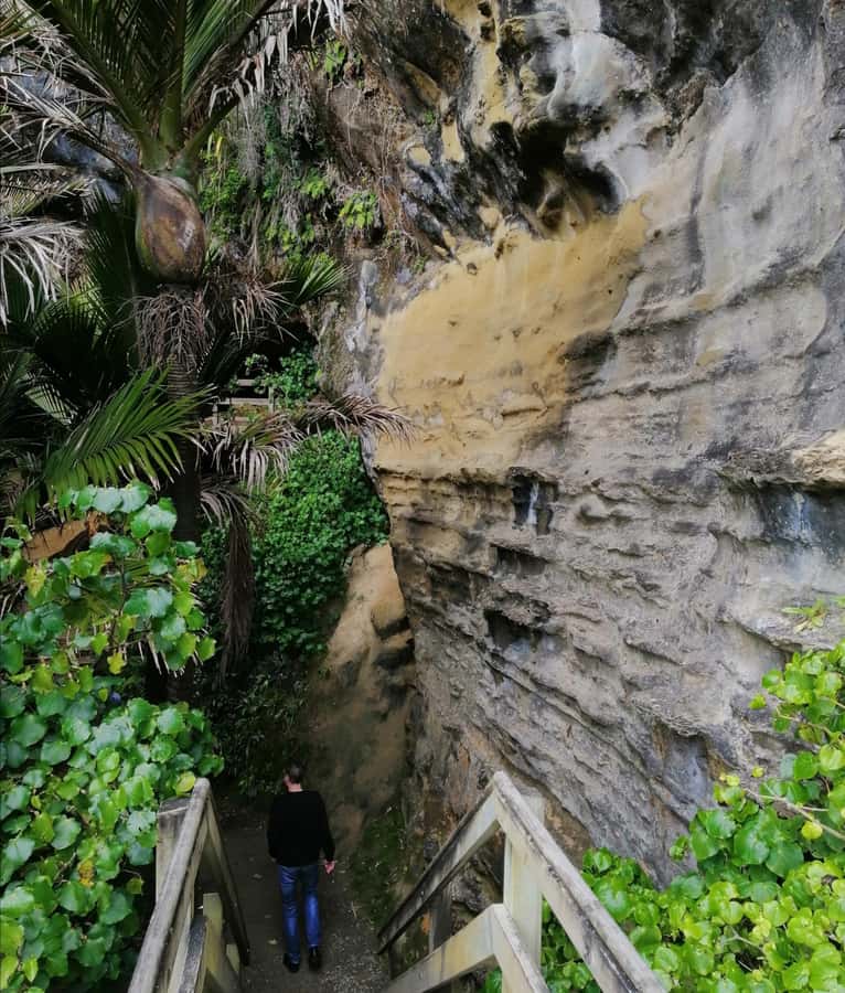 From Greymouth: Highlights West Coast Day Tour - Buller Gorge, where the road turns inland
