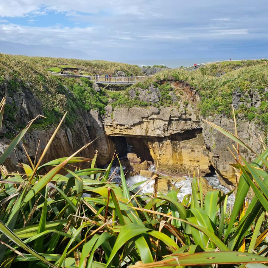 From Greymouth: Highlights West Coast Day Tour - Through the Grey Valley to Brunner Mine Site