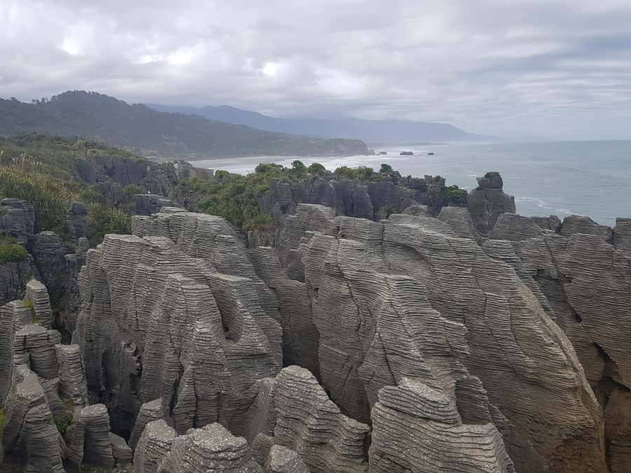 From Greymouth: Punakaiki Blowholes & Pancake Rocks Tour - Key points at a glance
