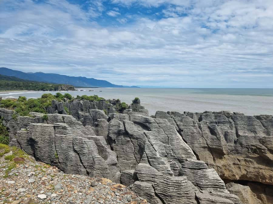 From Greymouth: Punakaiki Blowholes & Pancake Rocks Tour - Who will enjoy this Punakaiki outing?