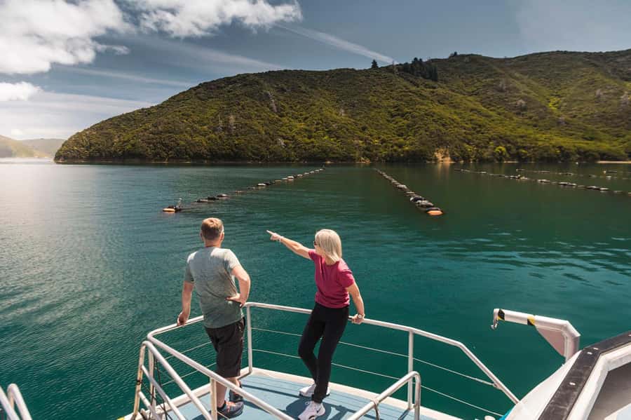 From Havelock: Marlborough Sounds Mail Boat Full-Day Cruise - Kenepuru Sound and life beyond the roads