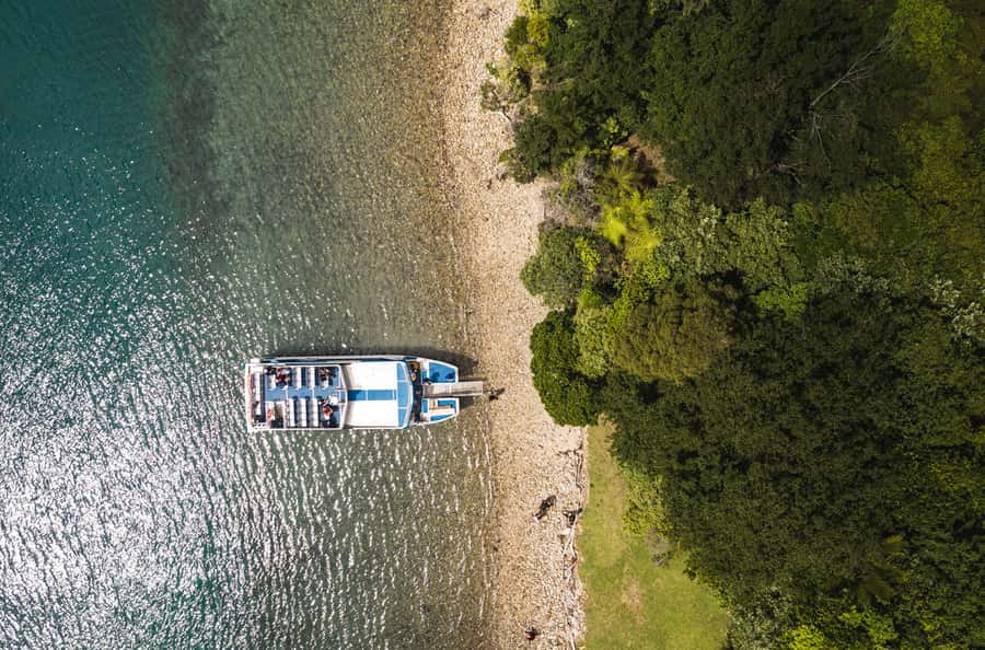 From Havelock: Marlborough Sounds Mail Boat Full-Day Cruise - Weather, comfort, and what to pack