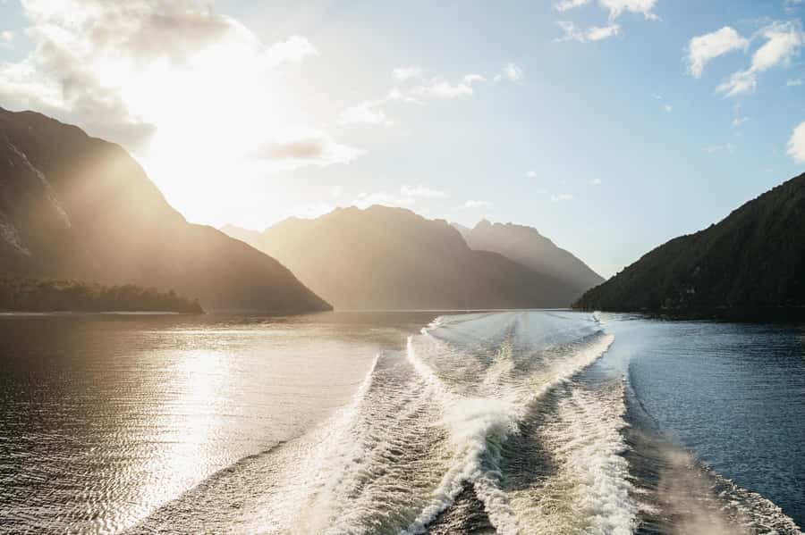 From Manapouri: Doubtful Sound Wilderness Day Trip - Deep Cove and the Patea Explorer