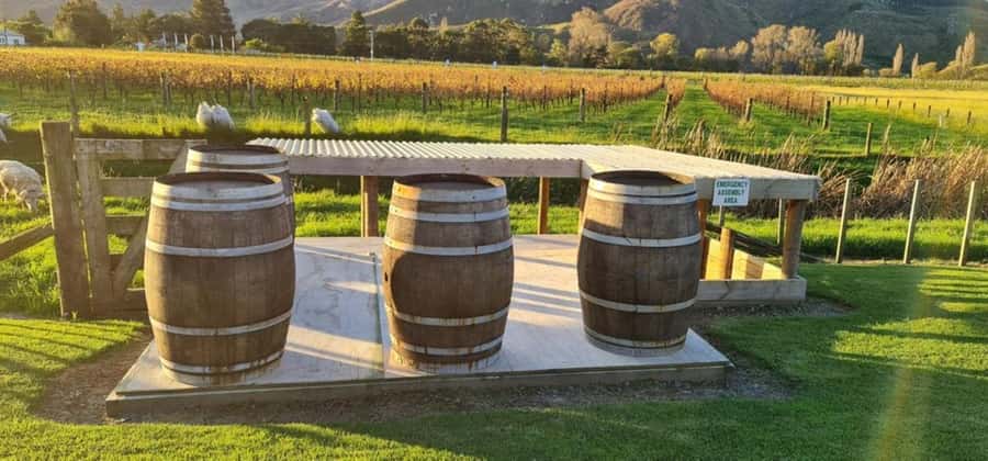 From Napier: Hawke's Bay Small Group Wine Capita Tour - Booking, cancellation, and practical details