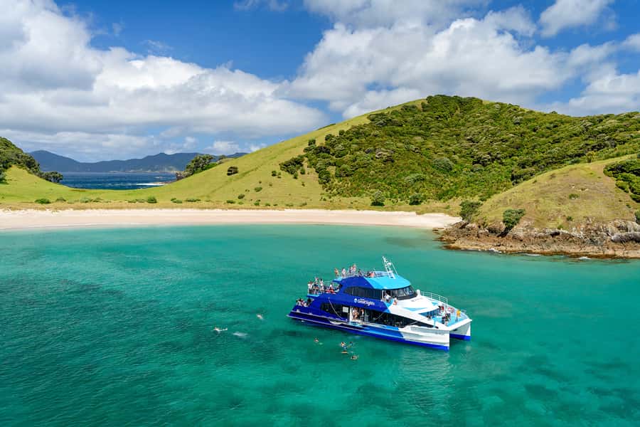 From Paihia: Full-Day Bay of Islands Cruise - Why this eight-and-a-half-hour cruise works