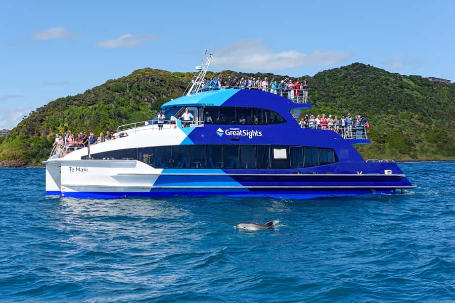 From Paihia: Full-Day Bay of Islands Cruise - Watching for dolphins, whales, and penguins