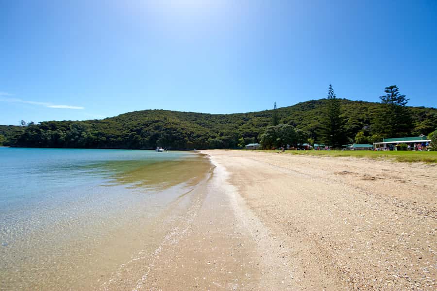 From Paihia: Full-Day Bay of Islands Cruise - Weather, comfort, and what to pack