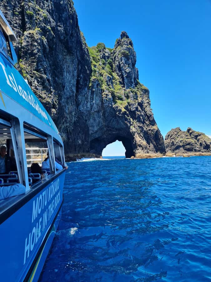 From Paihia: Hole in the Rock Cruise & Island Tour: 3 Hour - Key points at a glance