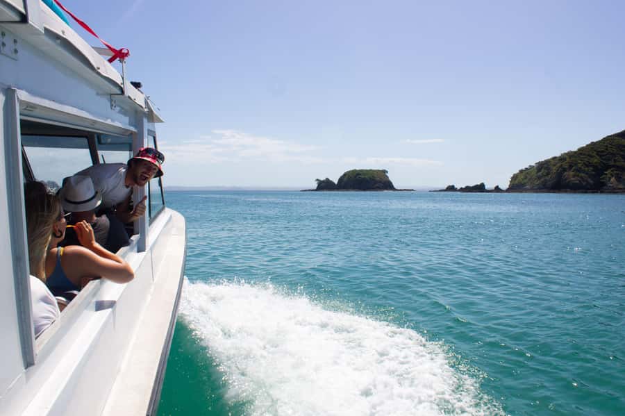From Paihia: Hole in the Rock Cruise & Island Tour: 3 Hour - Commentary that adds life to the scenery