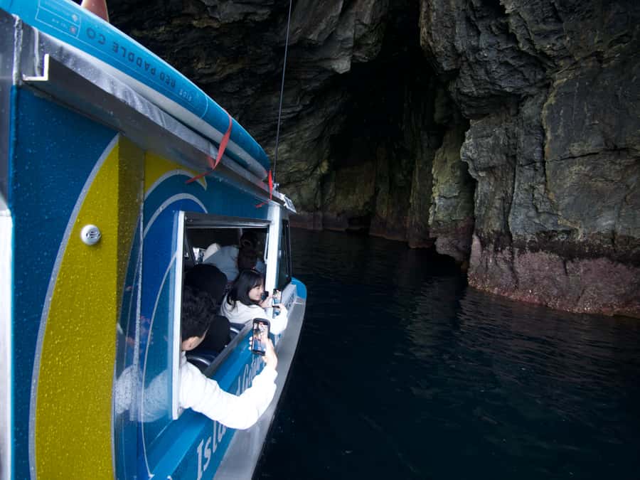 From Paihia: Hole in the Rock Cruise & Island Tour: 3 Hour - Timing, weather, and what to bring