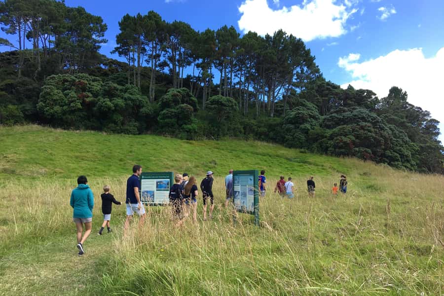 From Paihia: Scenic Cruise with Roberton Island Stopover - Key points to know before booking