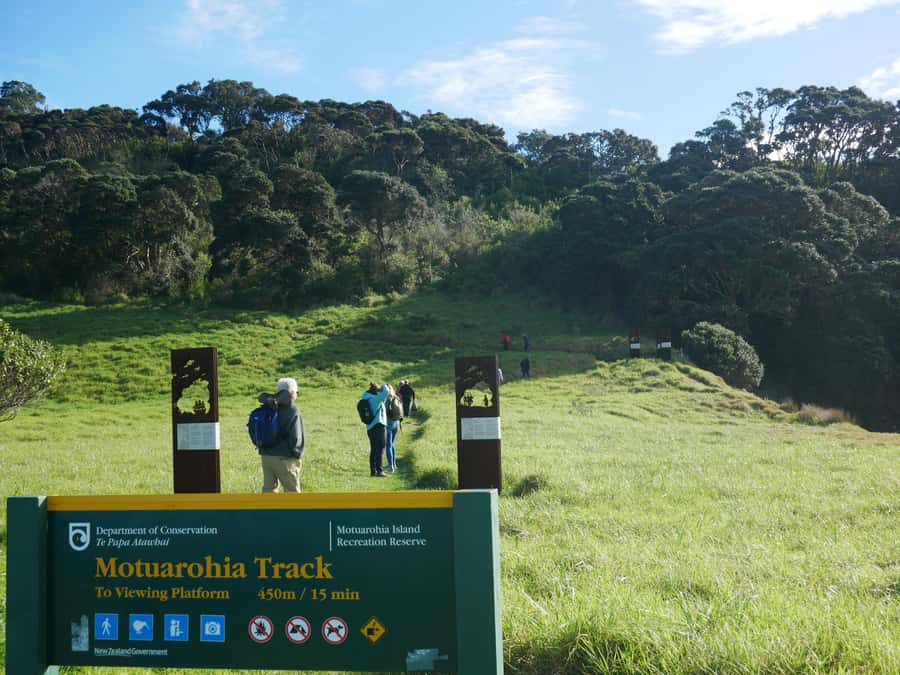 From Paihia: Scenic Cruise with Roberton Island Stopover - Practical advice for a smoother outing