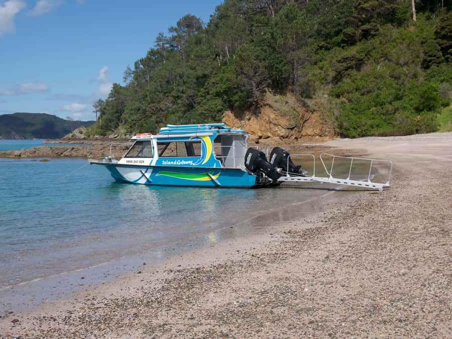 From Paihia: Scenic Cruise with Roberton Island Stopover - The Hole in the Rock and Motukokako Island