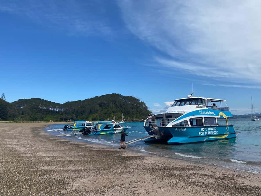 From Paihia: Scenic Cruise with Roberton Island Stopover - Water activities and what to clarify