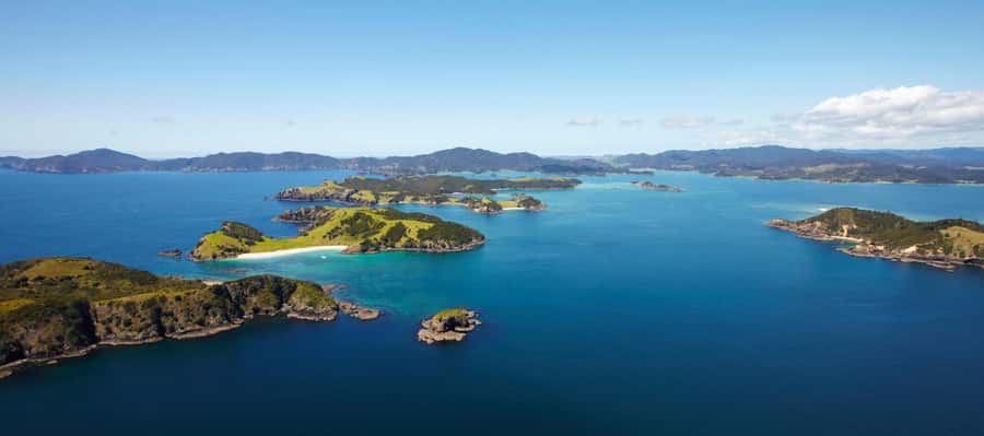 From Paihia: Scenic Cruise with Roberton Island Stopover - Who will enjoy this cruise most?