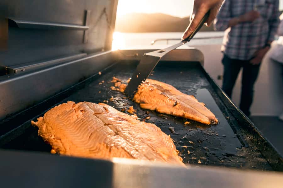 From Picton: Marlborough Sounds Cruise with Seafood - What the three-hour schedule feels like