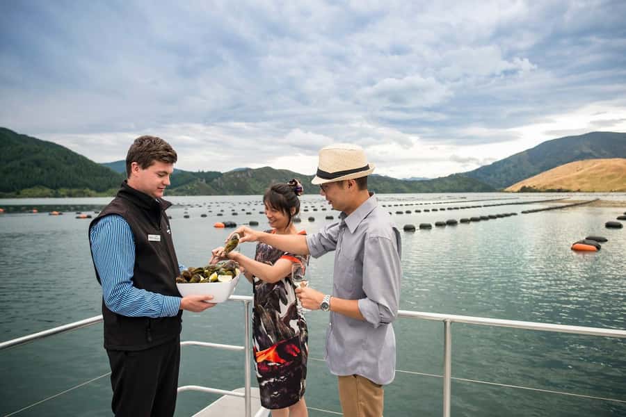 From Picton: Marlborough Sounds Cruise with Seafood - Is $107 good value?