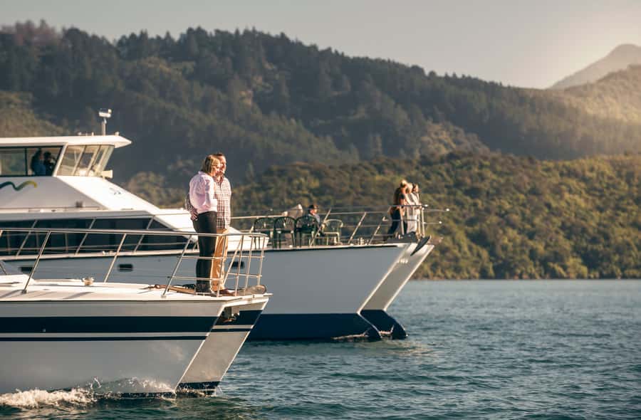 From Picton: Marlborough Sounds Cruise with Seafood - Booking details worth checking