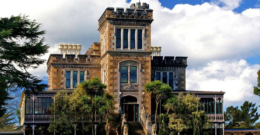From Port Chalmers: Small Group Castle, Coast & City Tour - Dunedin’s grand center and steepest street