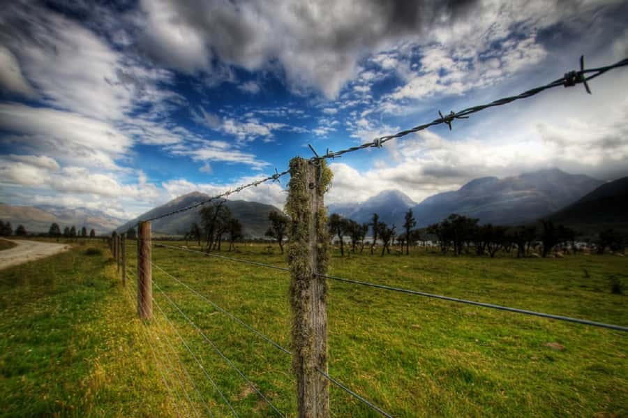From Queenstown: Lord Of The Rings Tour to Glenorchy - Tea, coffee, and a useful small extra