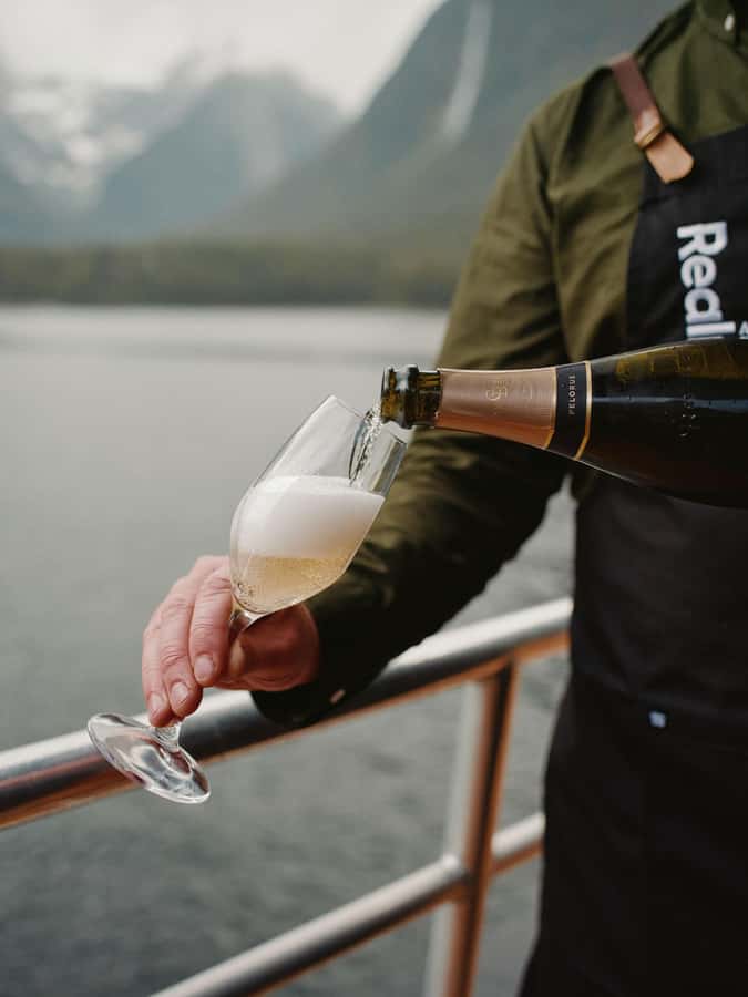 From Queenstown: Milford Sound Business Class with Cruise - Who will get the most from this experience
