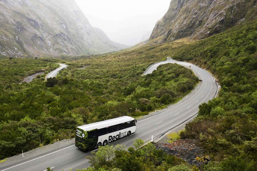From Queenstown: Milford Sound Cruise and Coach Day Trip - Why this Milford Sound day trip works