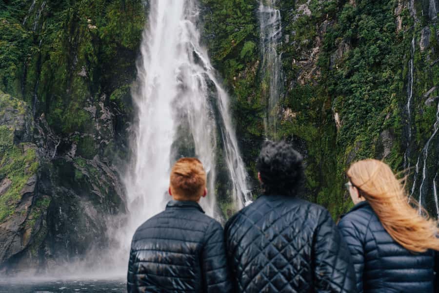 From Queenstown: Milford Sound Cruise and Scenic Drive - Key points to know before booking