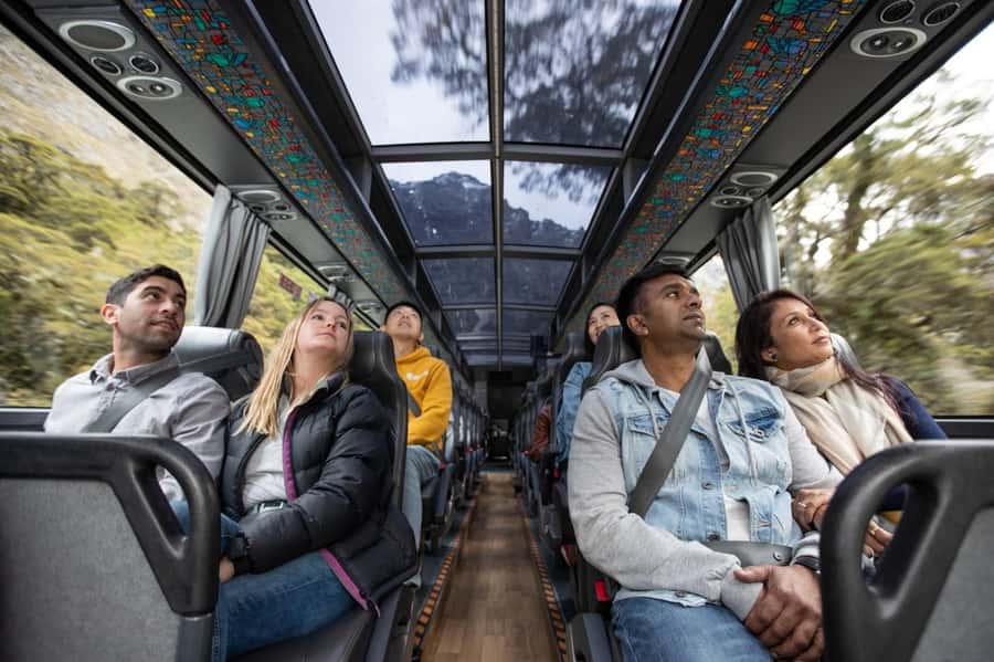 From Queenstown: Milford Sound Cruise & Scenic Coach Tour - How the guides shape the day