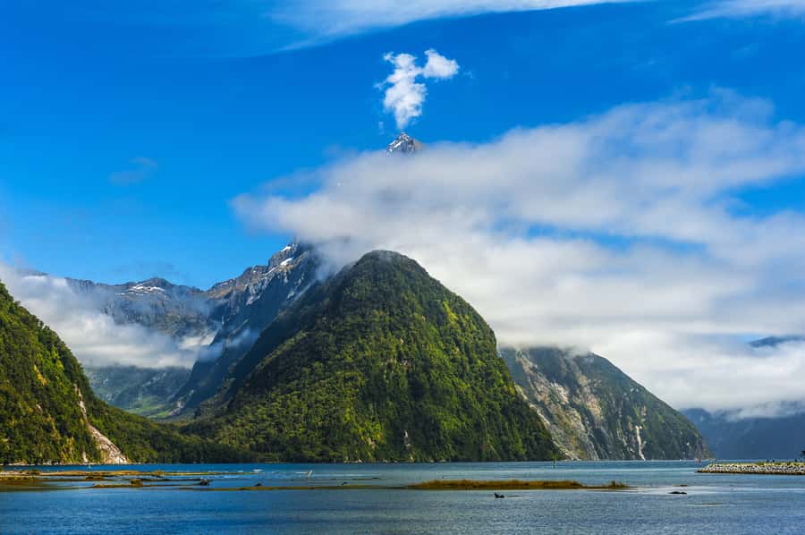 From Queenstown: Milford Sound Cruise & Scenic Coach Tour - Eglinton Valley and the first stretch into Fiordland