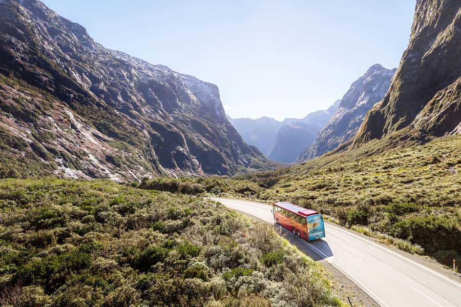 From Queenstown: Milford Sound Day Trip on Premium Coach - Monkey Creek and the chance to spot a kea