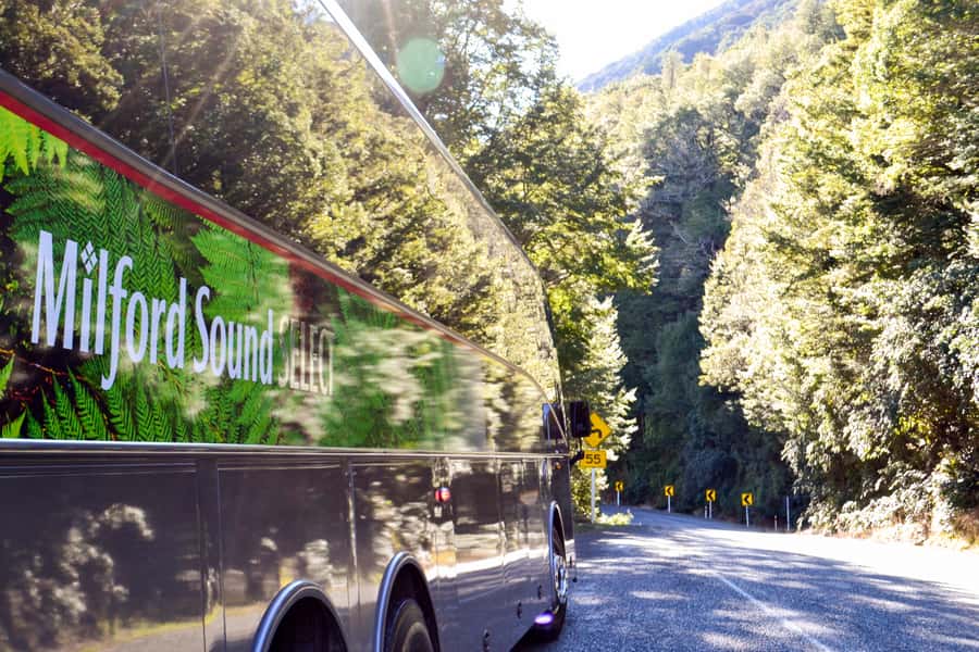From Queenstown: Milford Sound Premium Day Tour and Cruise - Why the road to Milford Sound matters