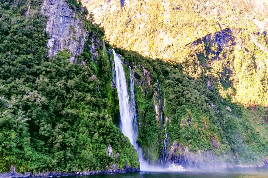 From Queenstown: Milford Sound Premium Day Tour and Cruise - Milford Sound begins at the water