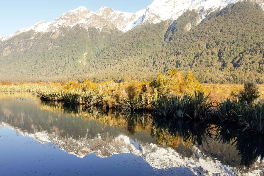 From Queenstown: Milford Sound Premium Day Tour and Cruise - Waterfalls are the reason rain can help