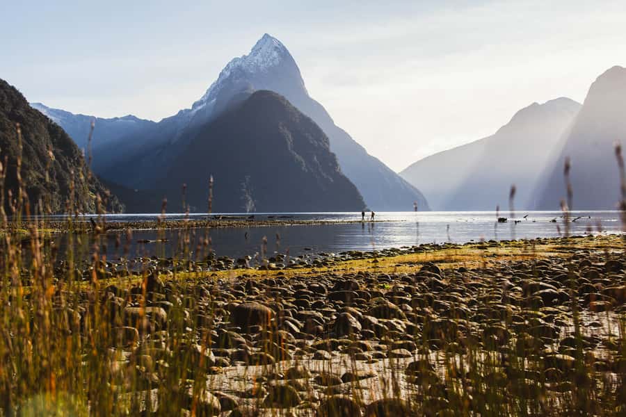 From Queenstown: Milford Sound Scenic Flight & Nature Tour - Climbing the Lookout Track