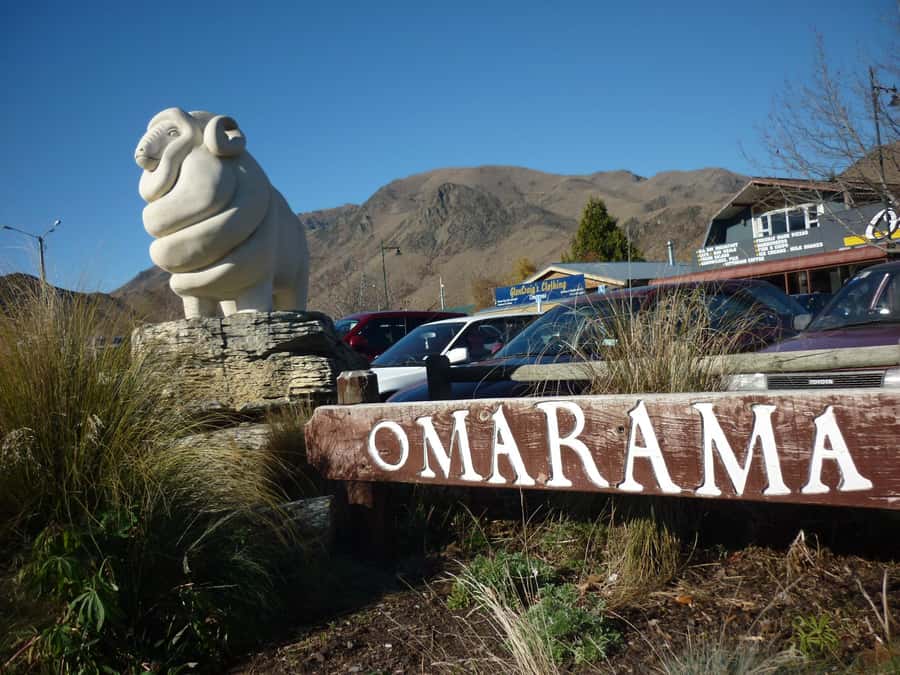From Queenstown: Mount Cook Heli-Hike and Bus Tour Combo - Jackson Orchards finishes the day sweetly
