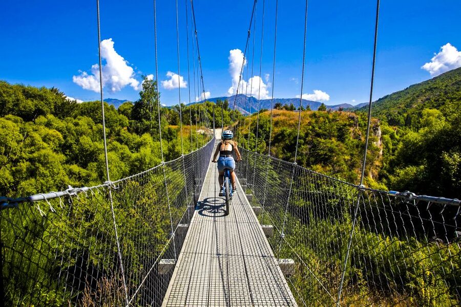 From Queenstown: 'Valley of the Vines' Wine and Bike Tour - Key points at a glance