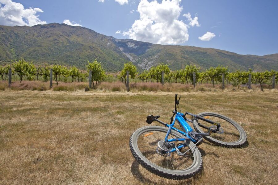 From Queenstown: 'Valley of the Vines' Wine and Bike Tour - Gold panning and Kawarau Bridge highlights