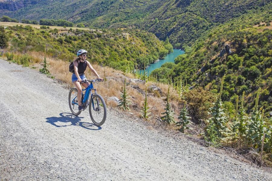From Queenstown: 'Valley of the Vines' Wine and Bike Tour - Arrowtown gives the ride a sense of place