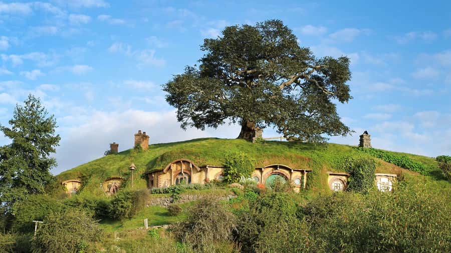 From Rotorua: Hobbiton Movie Set Tour with Festive Lunch - Who should book this Rotorua excursion?
