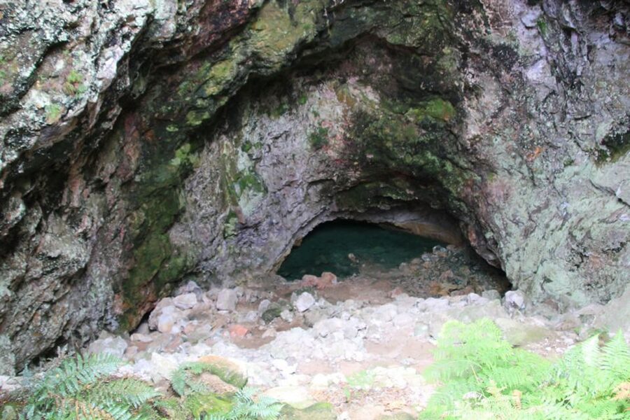 From Rotorua: Taupo Day Trip with Orakei Korako or Waiotapu - Lunch and the Taupo stop