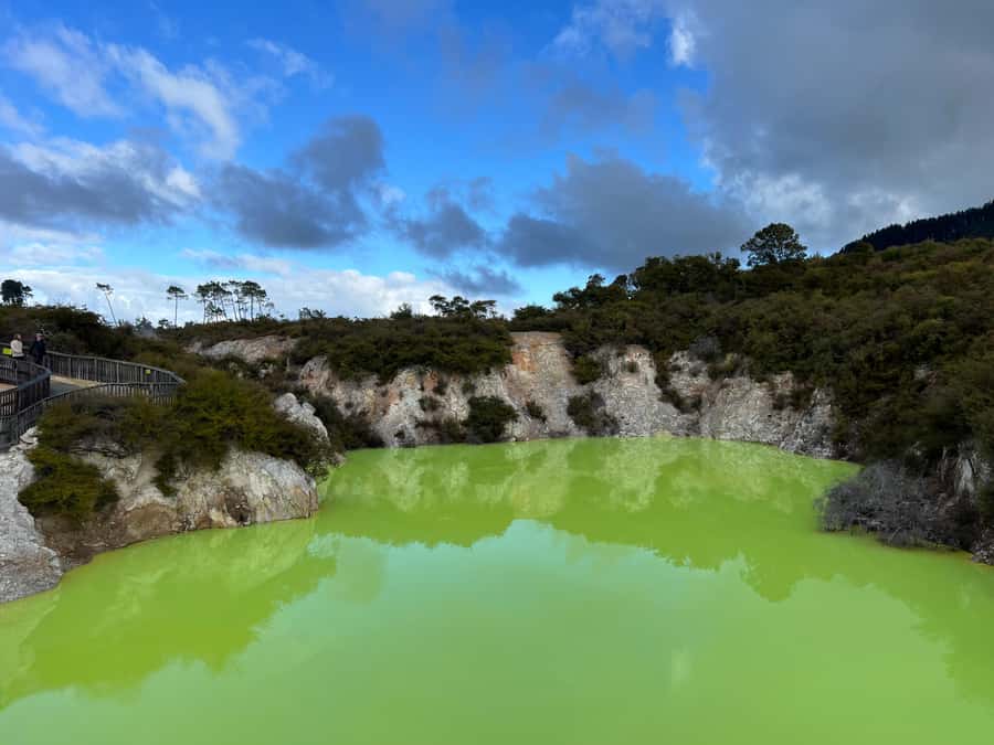 From Rotorua: WAI-O-TAPU Geothermal Wonderland Half-Day Tour - Key points at a glance