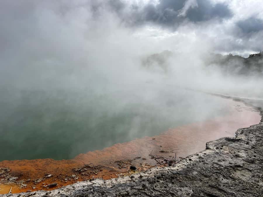 From Rotorua: WAI-O-TAPU Geothermal Wonderland Half-Day Tour - Walking Wai-O-Tapu at your own speed
