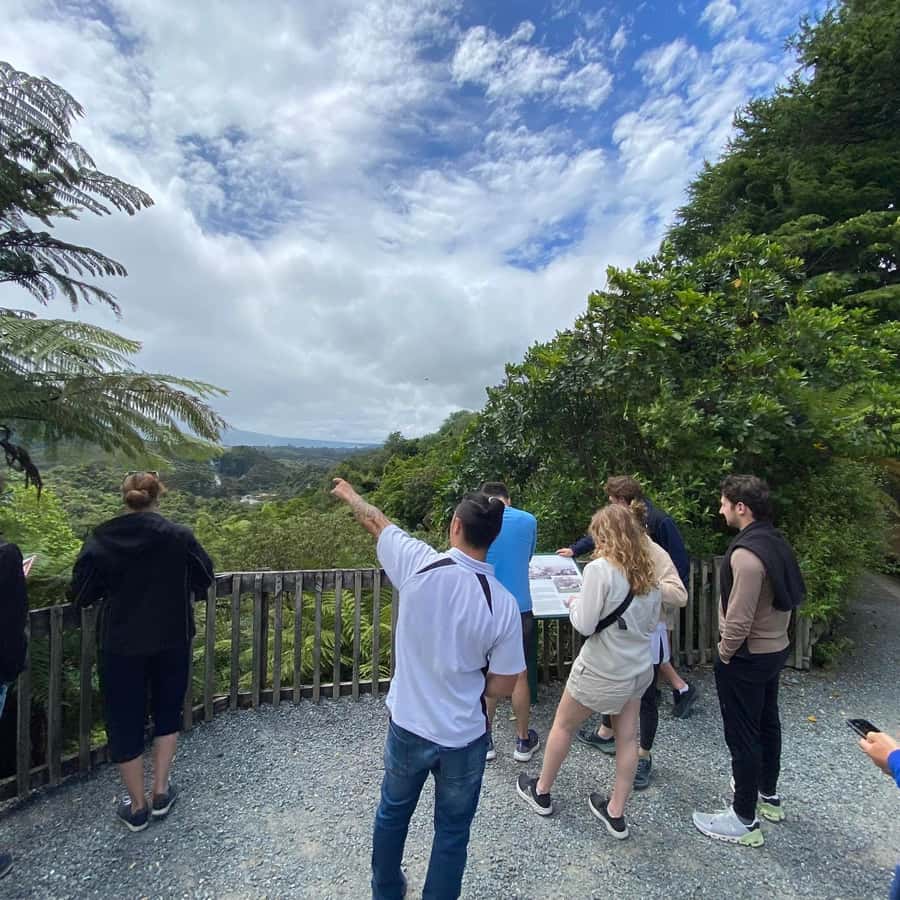 From Rotorua: Wai-O-Tapu, Waimangu and Te Puia Full-Day Tour - Wai-O-Tapu and the 10:15 AM Lady Knox display